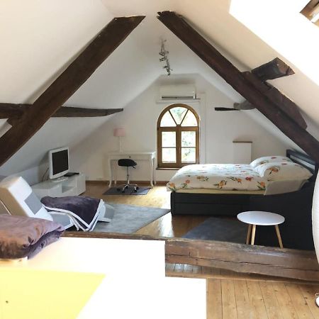 Ferienwohnung Auf Denkmalgeschuetztem Sturmhof Grefrath Екстер'єр фото